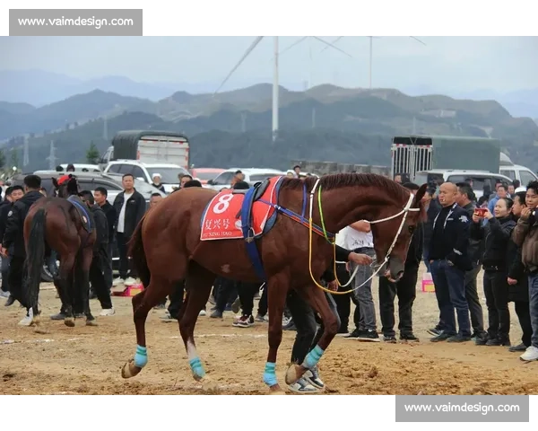 赛马运动魅力解析与现代竞技策略全面研究